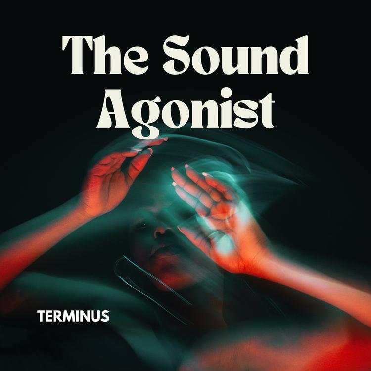 The Sound Agonist's avatar image