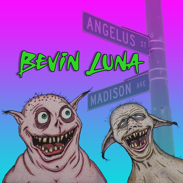 Bevin Luna's avatar image