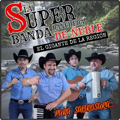 La super banda ranchera de ñuble's cover