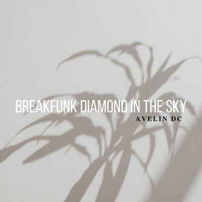 BREAKFUNK DIAMOND IN THE SKY's cover