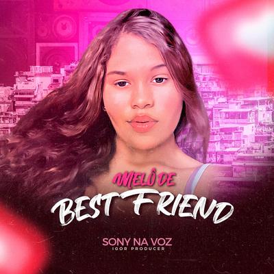 Melô de Best Friend By Igor Producer, Sony's cover