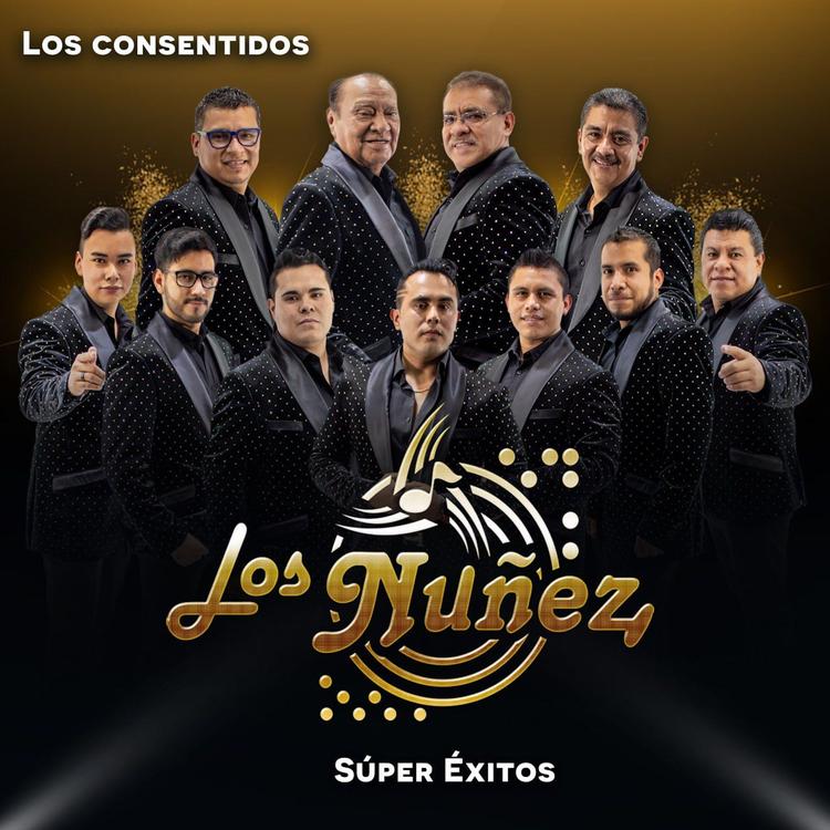 Los Núñez's avatar image