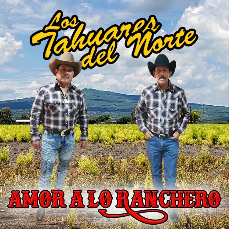 Los Tahures Del Norte's avatar image