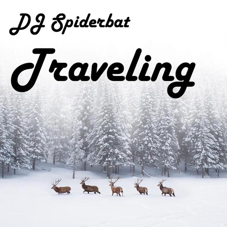 DJ Spiderbat's avatar image