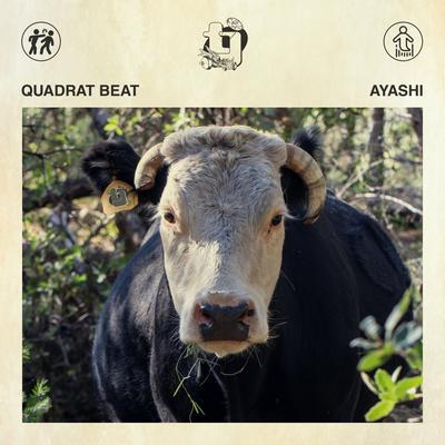 Quadrat Beat's cover