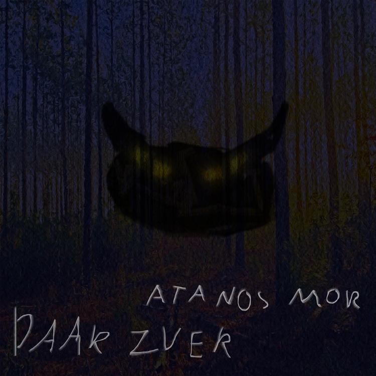 DaarZver's avatar image