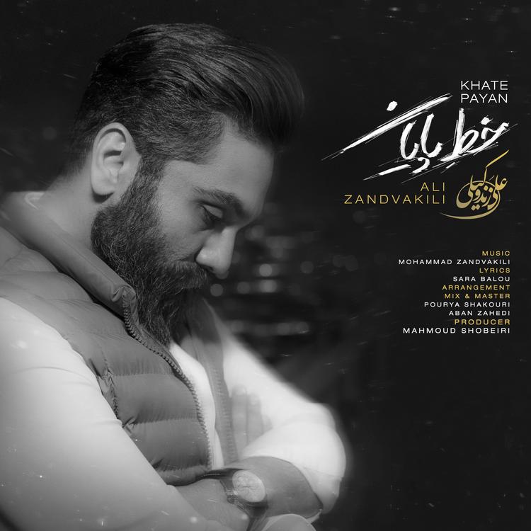 Ali Zandevakili's avatar image