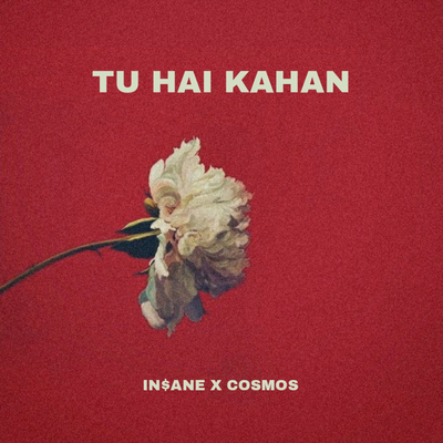 Tu Hai Kahan's cover