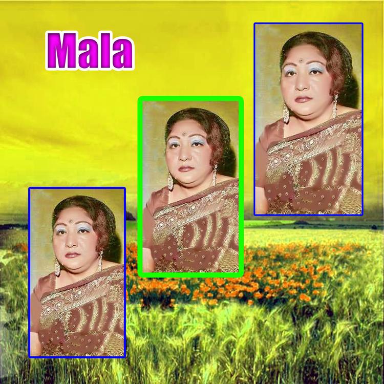 Mala Baghum's avatar image