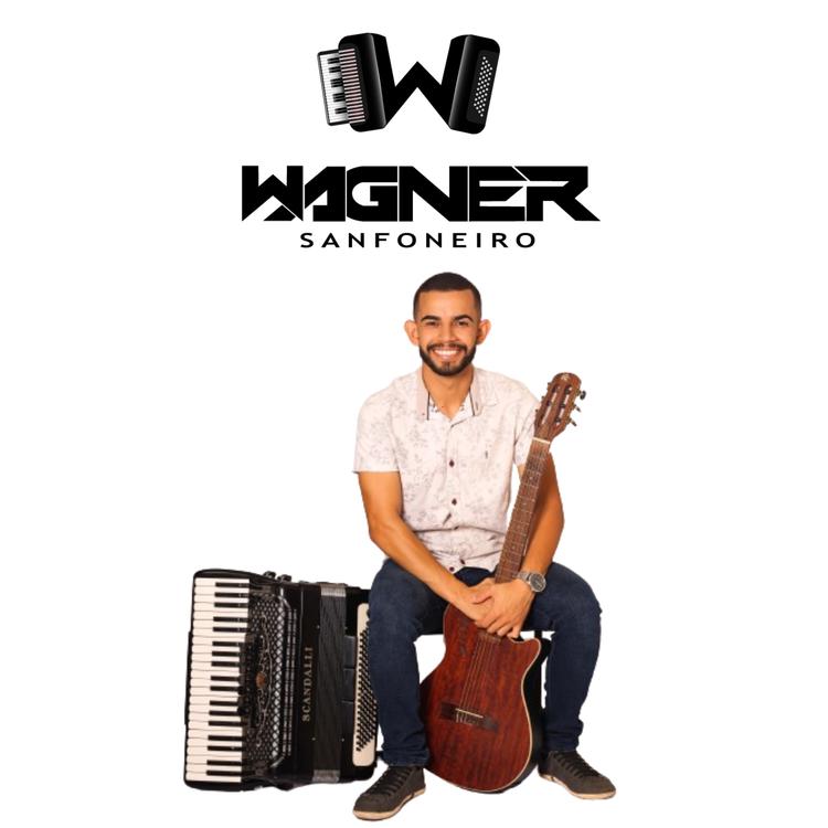 Wagner Sanfoneiro's avatar image