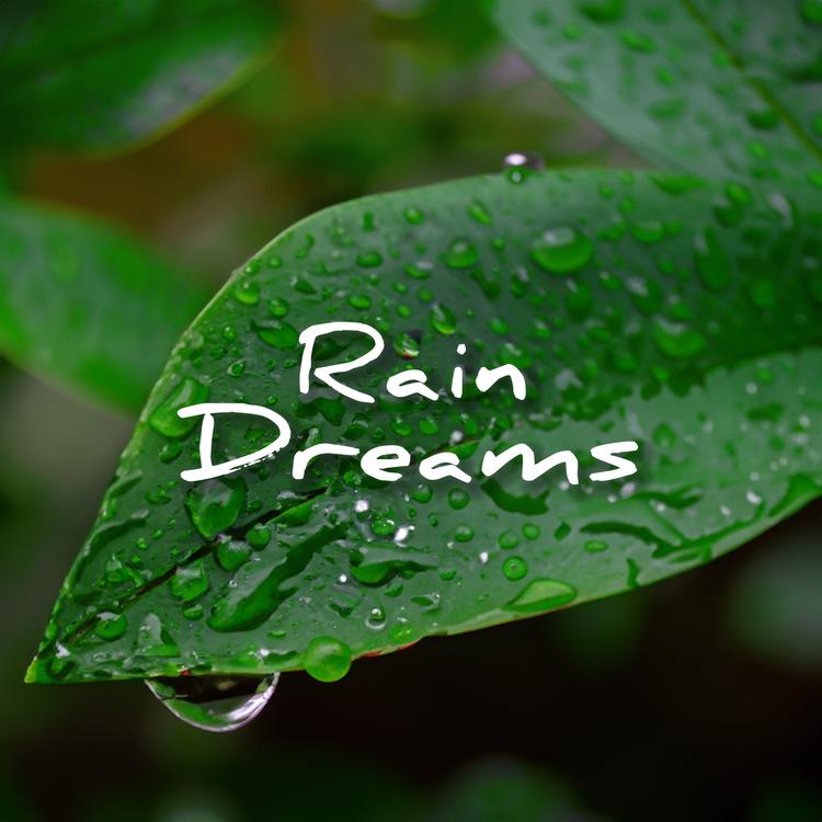 Rain Sounds & Deep Sleep Relaxation's avatar image