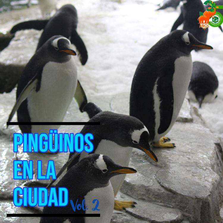Zoológico Guadalajara's avatar image
