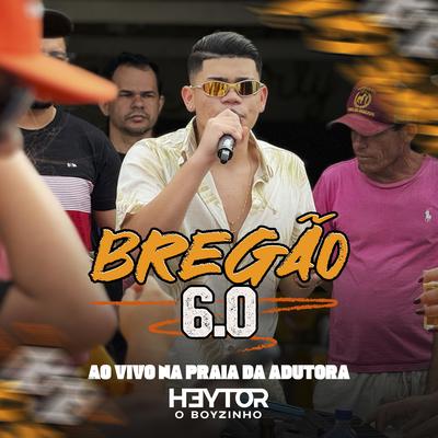 De Graça ou Pagando (Ao Vivo) By Heytor O Boyzinho's cover