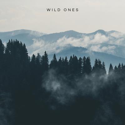 Wild Ones's cover