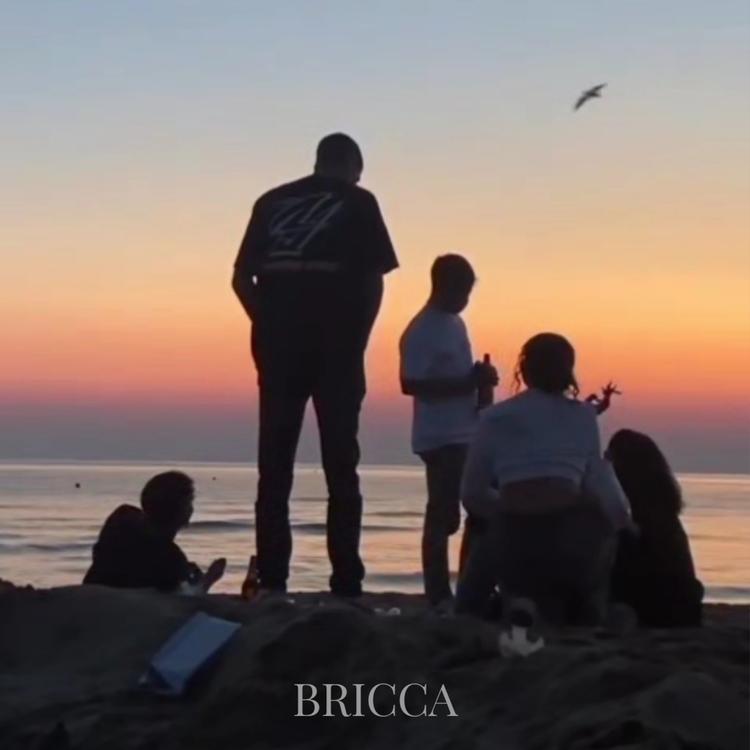 BRICCA's avatar image