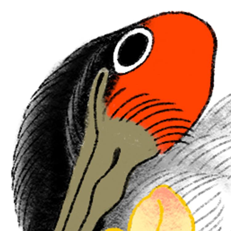 KOTOKID's avatar image