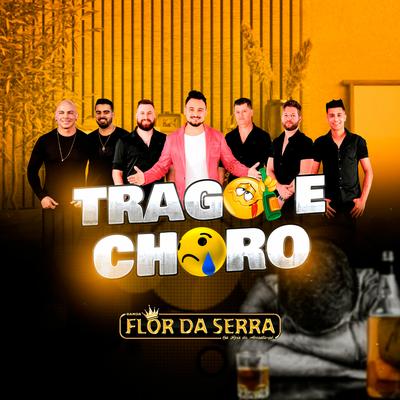 Trago e Choro By Banda Flor Da Serra's cover