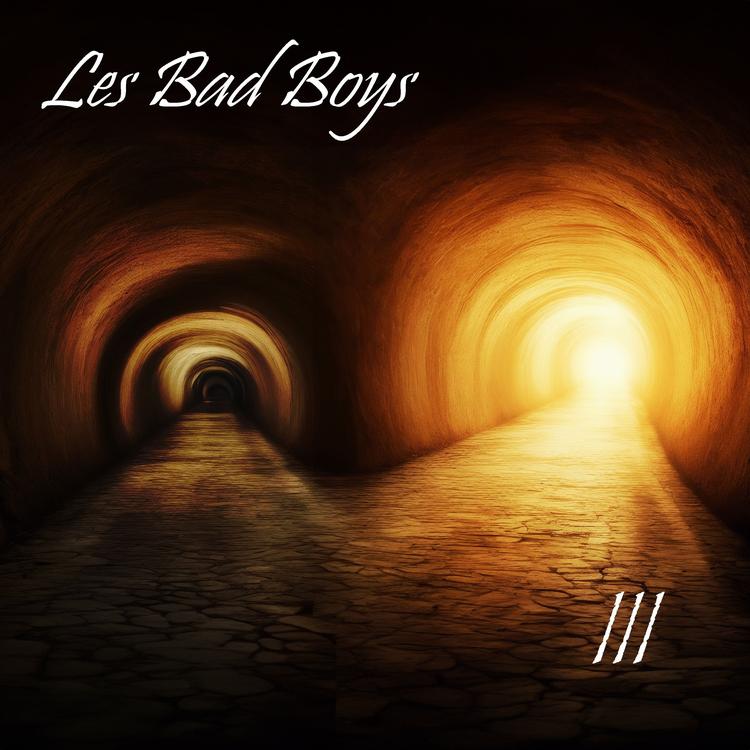 Les Bad Boys's avatar image
