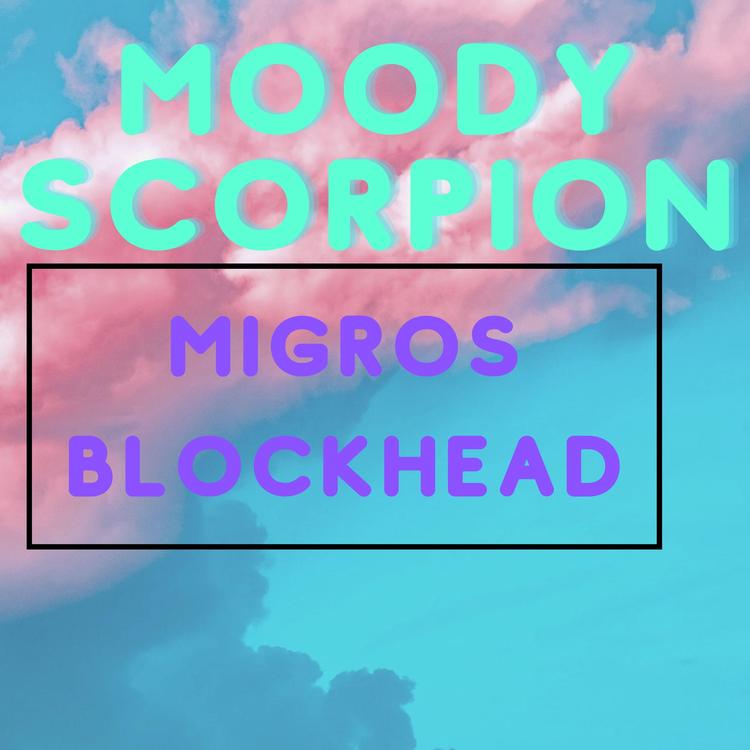 Moody Scorpion's avatar image