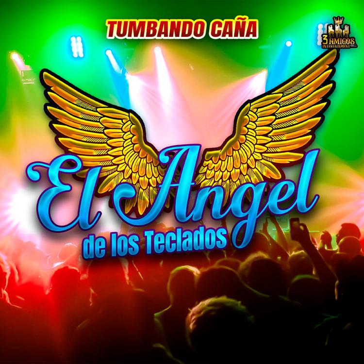 el angel de los teclados's avatar image