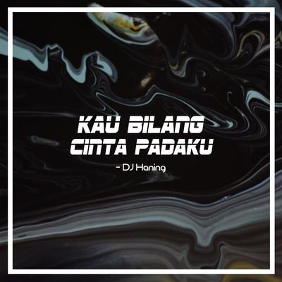 Kau Bilang Cinta Padaku's cover