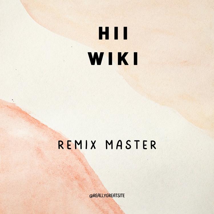 Remix Master's avatar image