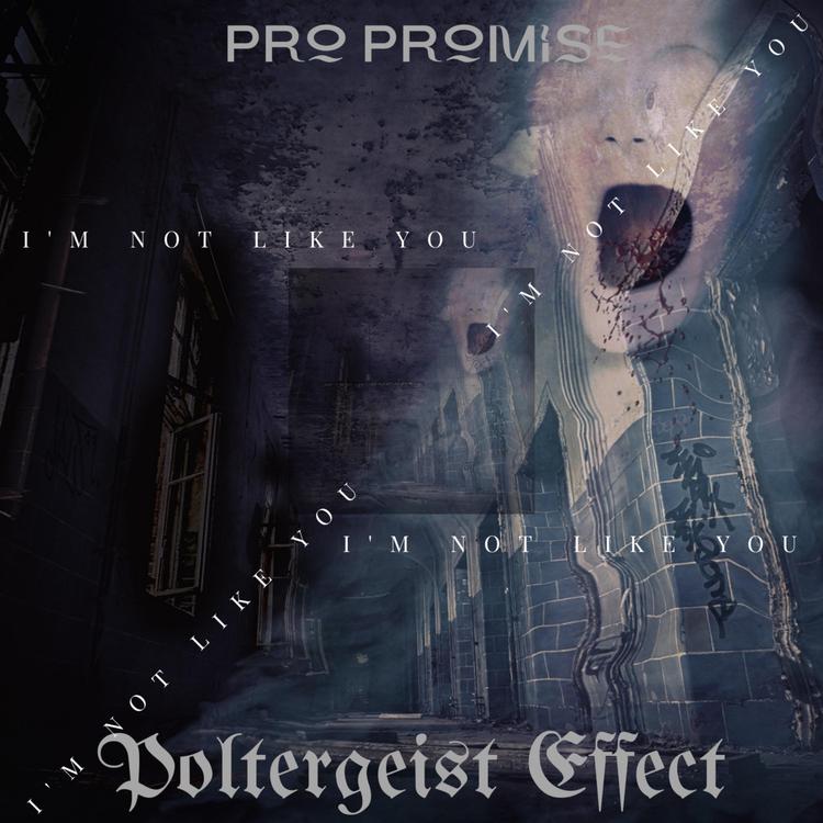 Pro Promise's avatar image