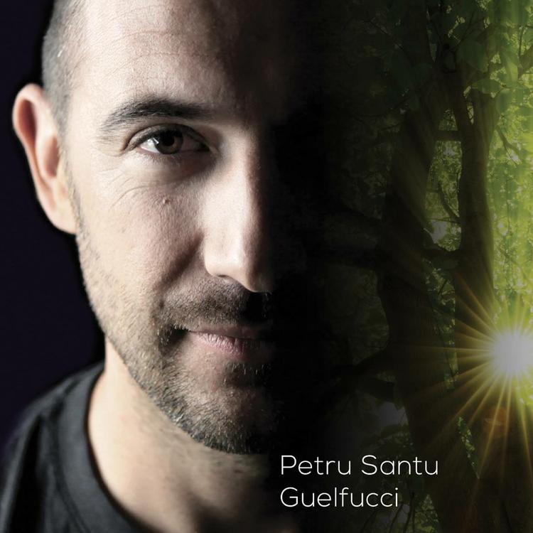 Petru Santu Guelfucci's avatar image