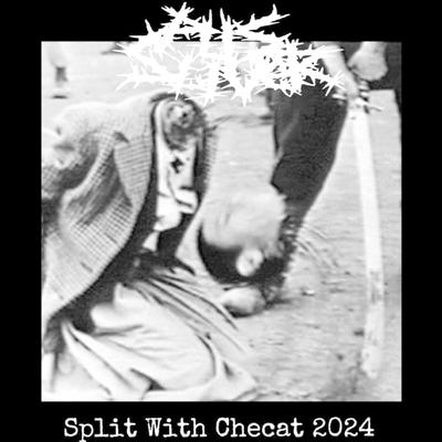 Split With Checat 2024 (Pus Sliver Side)'s cover