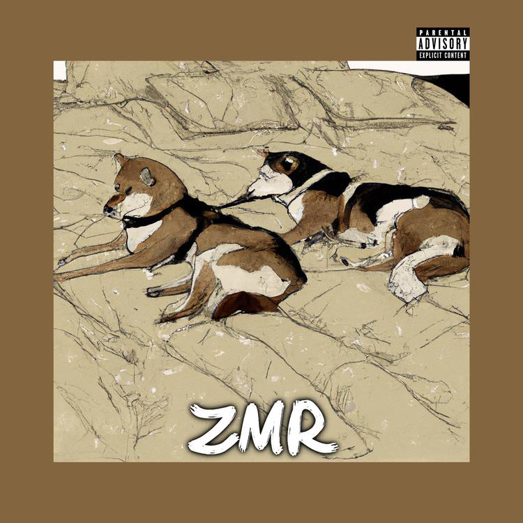 Zmr's avatar image