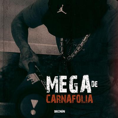 MEGA DE CARNAFOLIA By DJ Brenin's cover