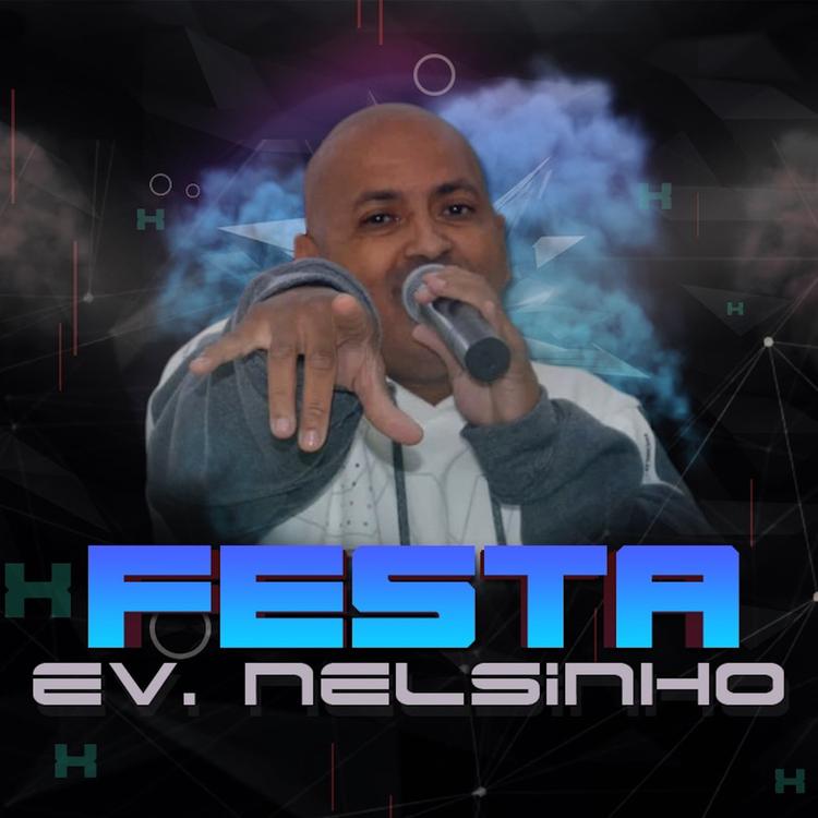 Evangelista Nelsinho's avatar image