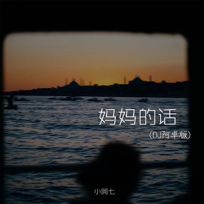 妈妈的话 (DJ阿卓版)'s cover