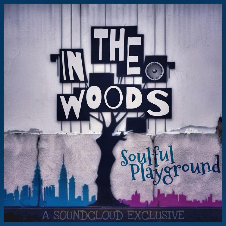 Soulful Playground's avatar image