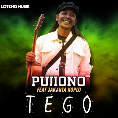 Tego's cover
