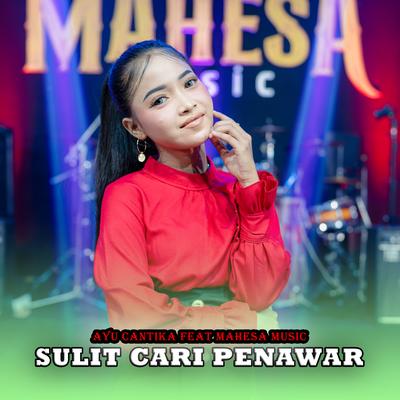 Sulit Cari Penawar's cover