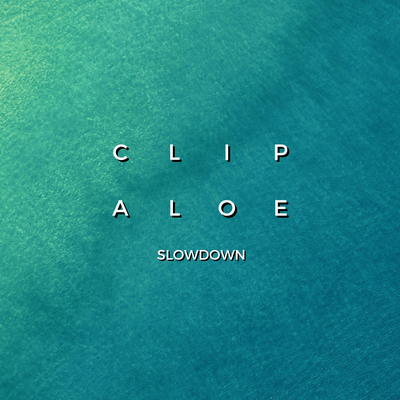 Slowdown's cover