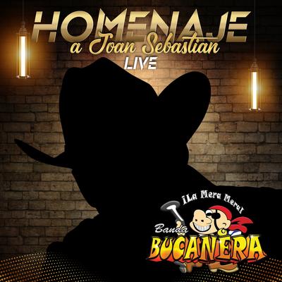 Homenaje a Joan Sebastian (En Vivo)'s cover