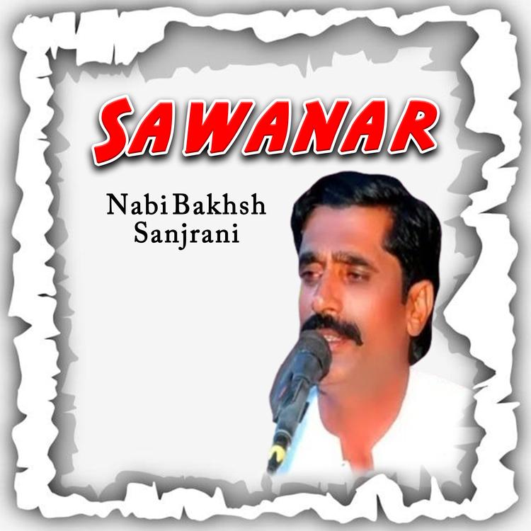 Nabi Bakhsh Sanjrani's avatar image