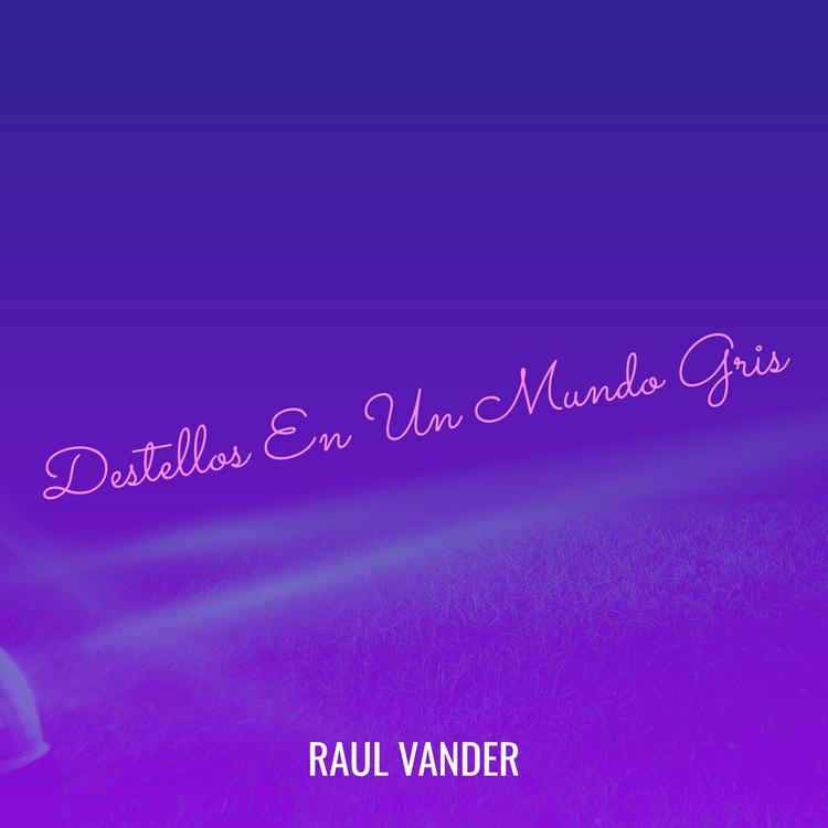 RAUL VANDER's avatar image