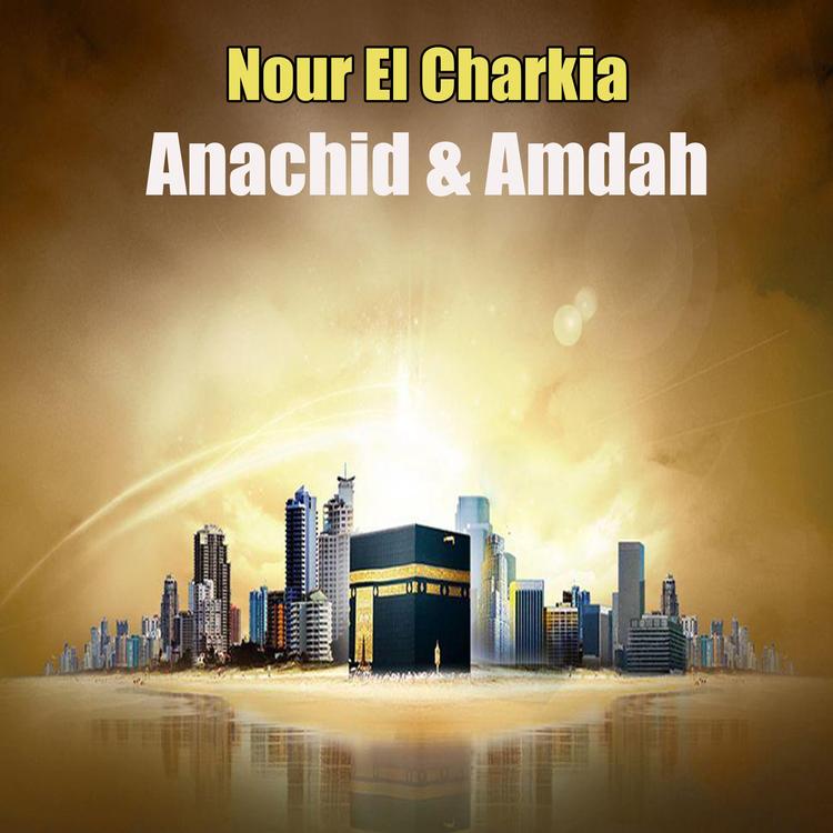 Nour El Charkia's avatar image