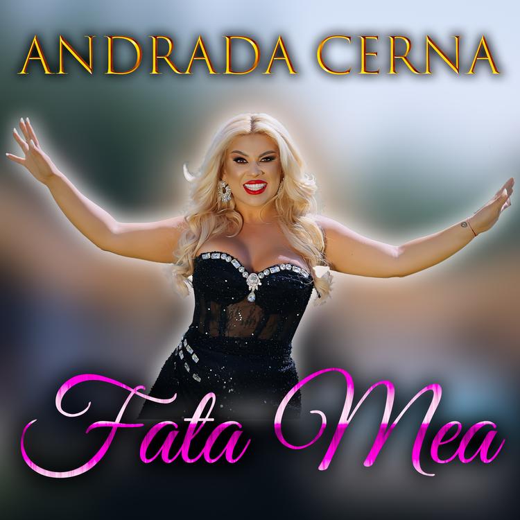 Andrada Cerna's avatar image