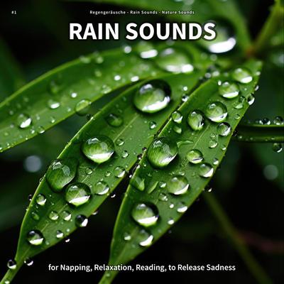 Unparalleled Rain Sound's cover