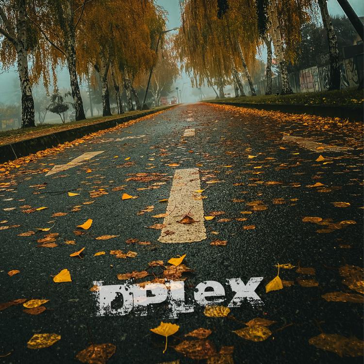 D-Plex's avatar image