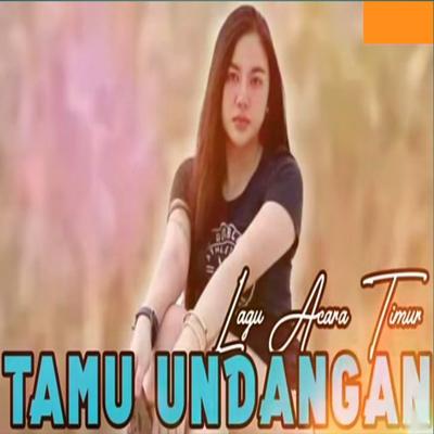 Lagu Acara Timur Tamu Undangan (Remix)'s cover