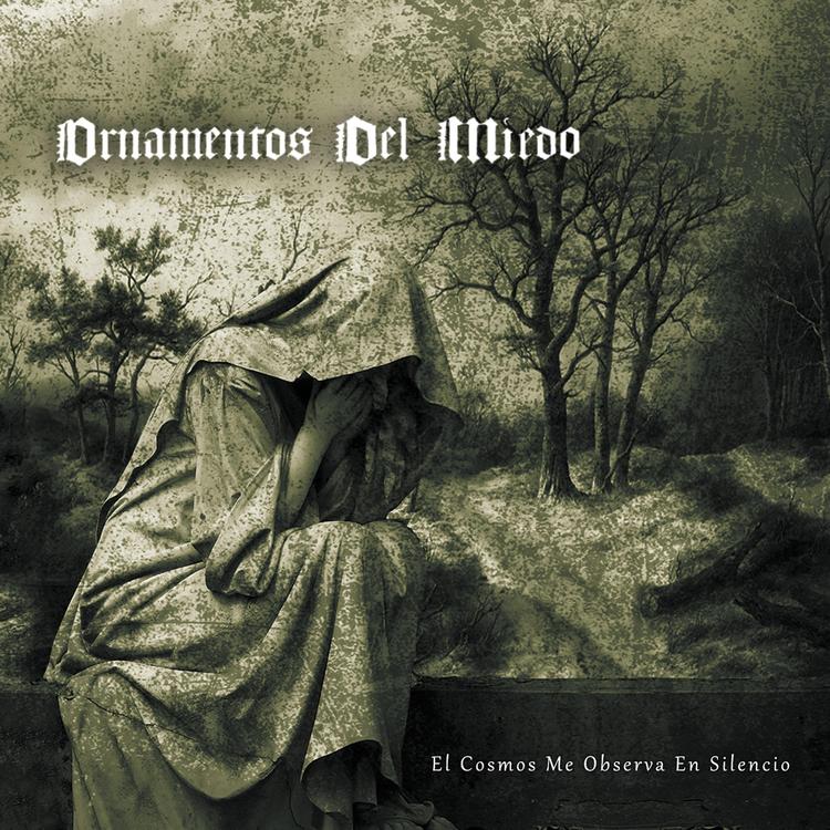 Ornamentos del Miedo's avatar image