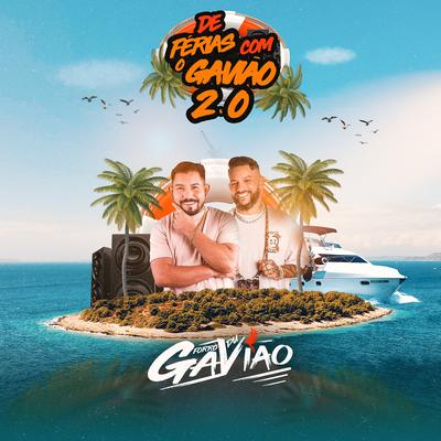 De Férias Com o Gavião 2.0's cover