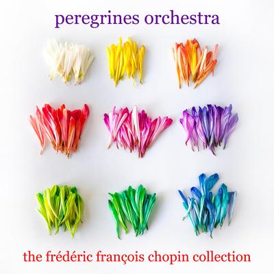 Peregrines Orchestra's cover