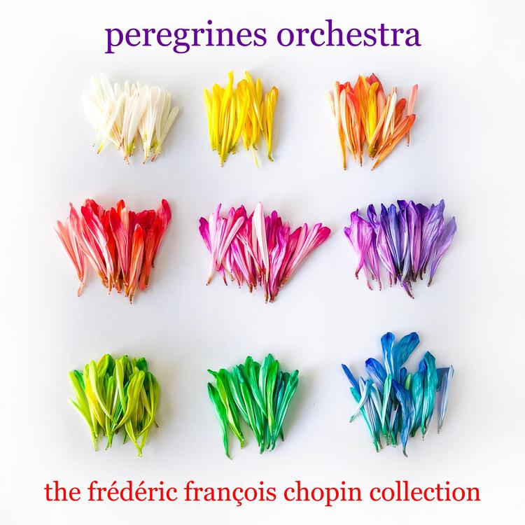 Peregrines Orchestra's avatar image