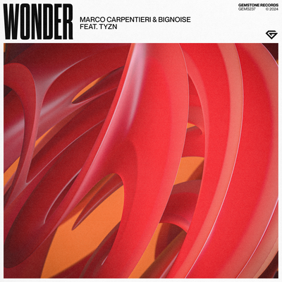 Wonder By Marco Carpentieri, BigNoise, Tyzn's cover